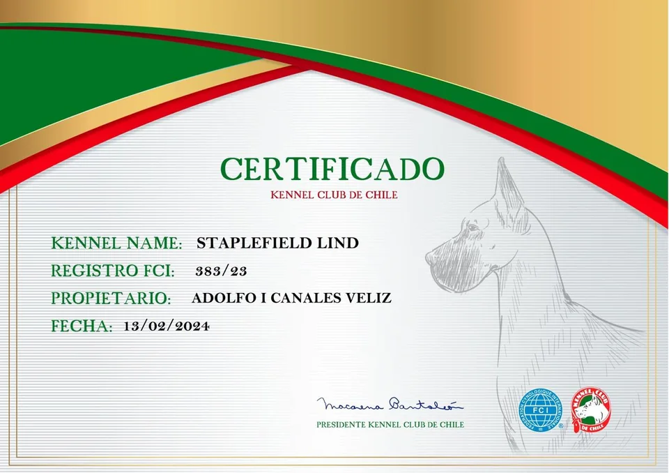 Certificado del Registro FCI 383/93 del nombre de criadero Staplefield Lind