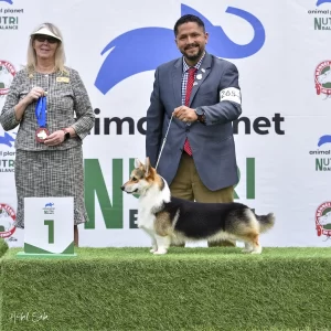 Equipo y ejemplar de Staplefield Lind en exposición canina